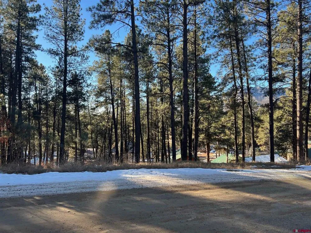 567 Mesa Drive Bayfield, CO 81122