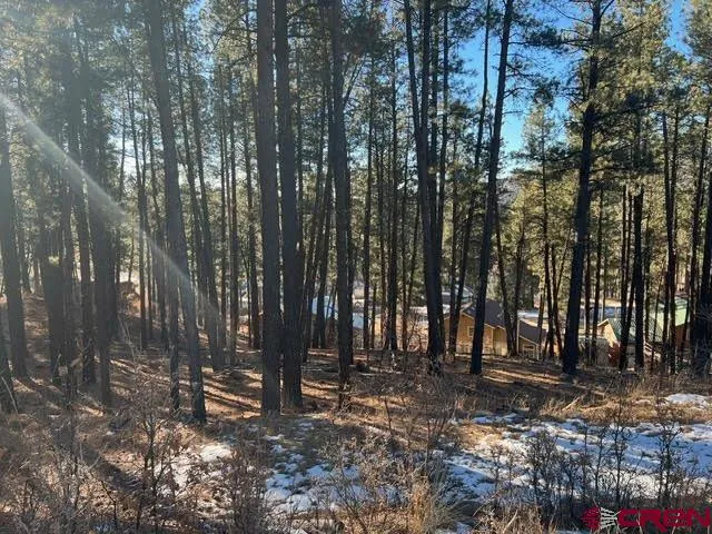 567 Mesa Drive Bayfield, CO 81122
