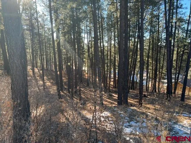 567 Mesa Drive Bayfield, CO 81122