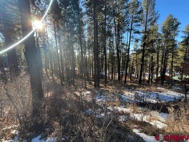 567 Mesa Drive Bayfield, CO 81122
