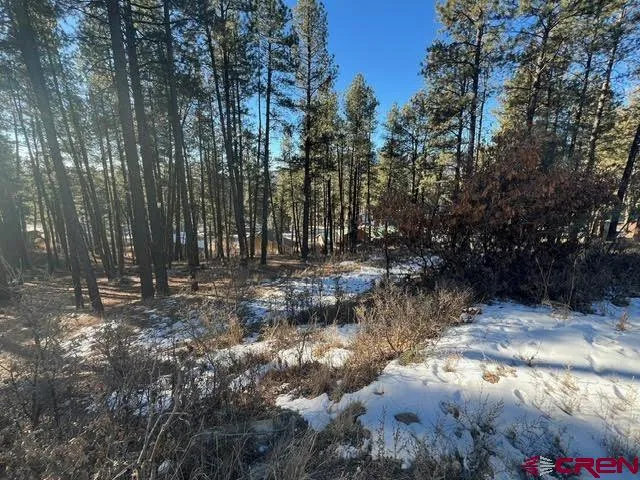 567 Mesa Drive Bayfield, CO 81122