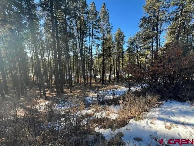 567 Mesa Drive Bayfield, CO 81122