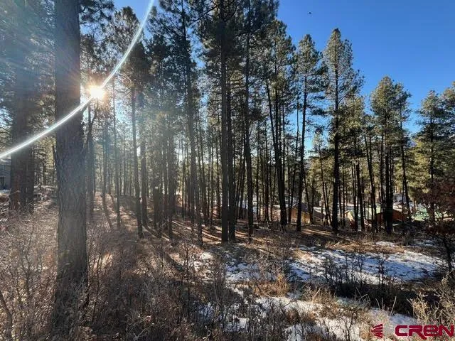 567 Mesa Drive Bayfield, CO 81122