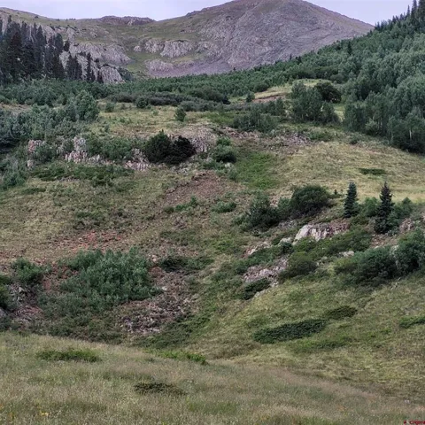 CR 124