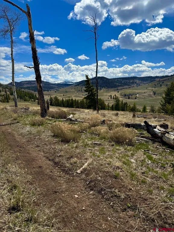 230 Castle Circle Powderhorn, CO 81243
