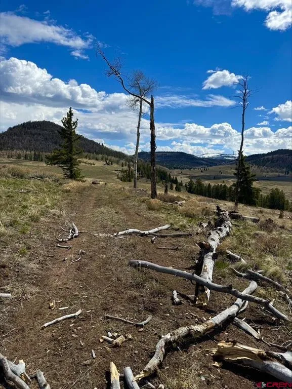 230 Castle Circle Powderhorn, CO 81243