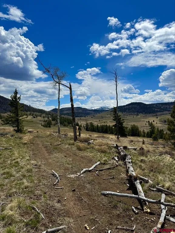 230 Castle Circle Powderhorn, CO 81243