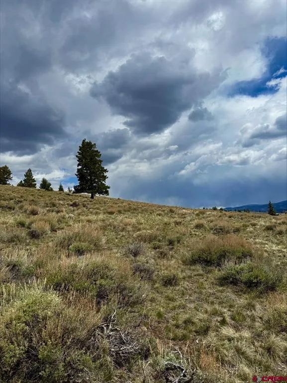 230 Castle Circle Powderhorn, CO 81243