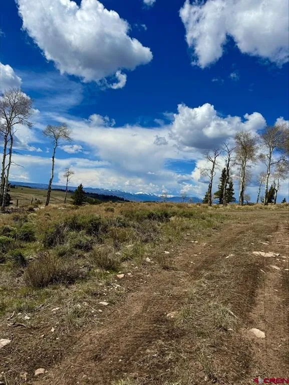 230 Castle Circle Powderhorn, CO 81243