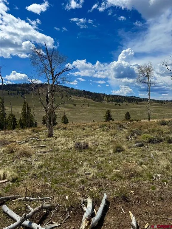 230 Castle Circle Powderhorn, CO 81243