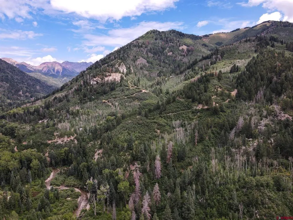 County Road 124 Hesperus, CO 81326