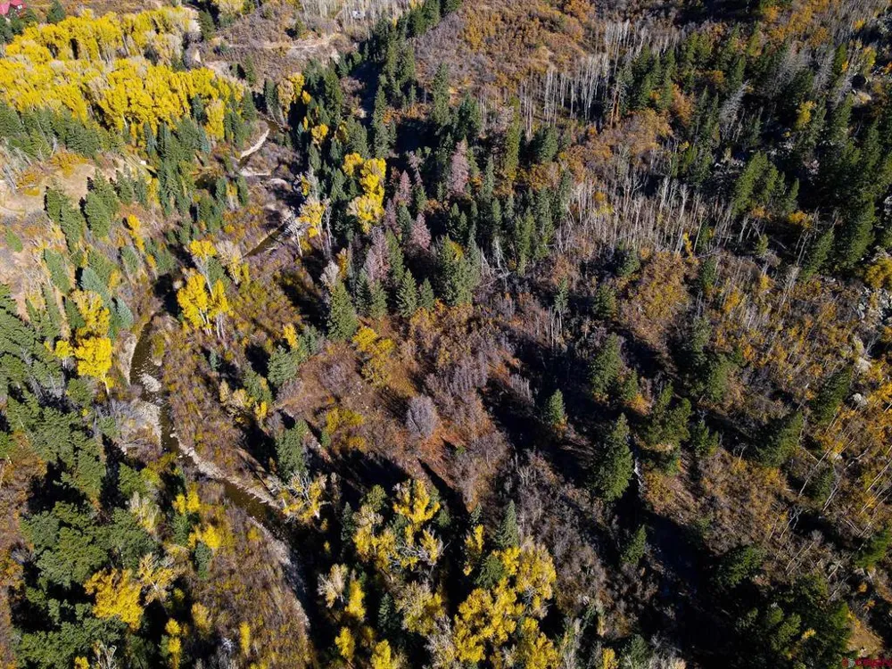 County Road 124 Hesperus, CO 81326
