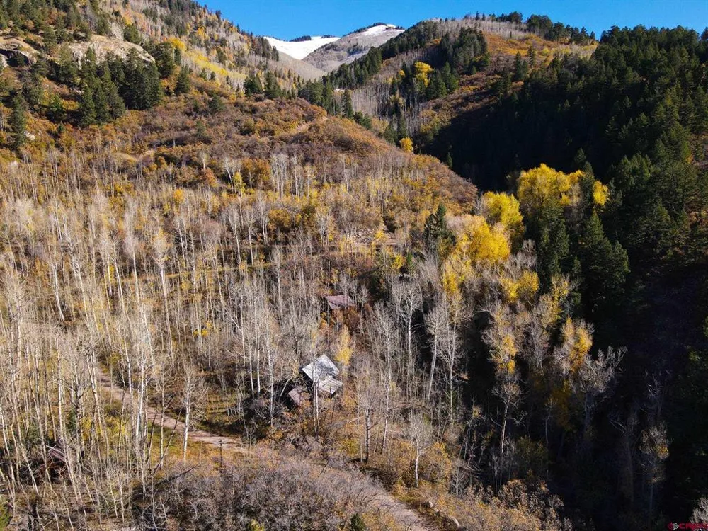 County Road 124 Hesperus, CO 81326