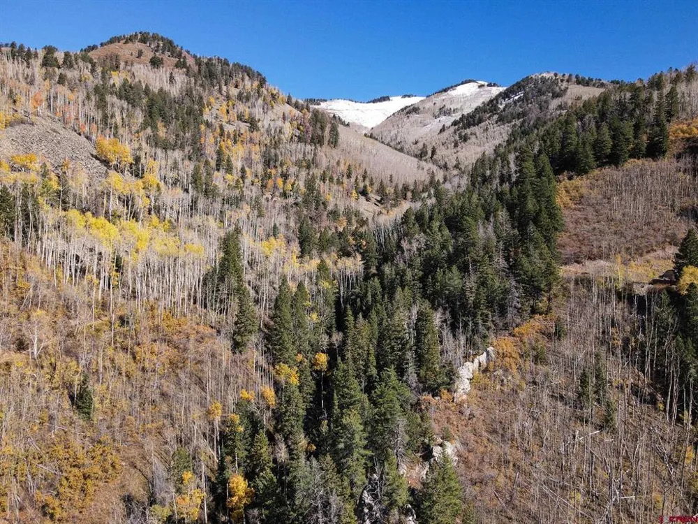 County Road 124 Hesperus, CO 81326