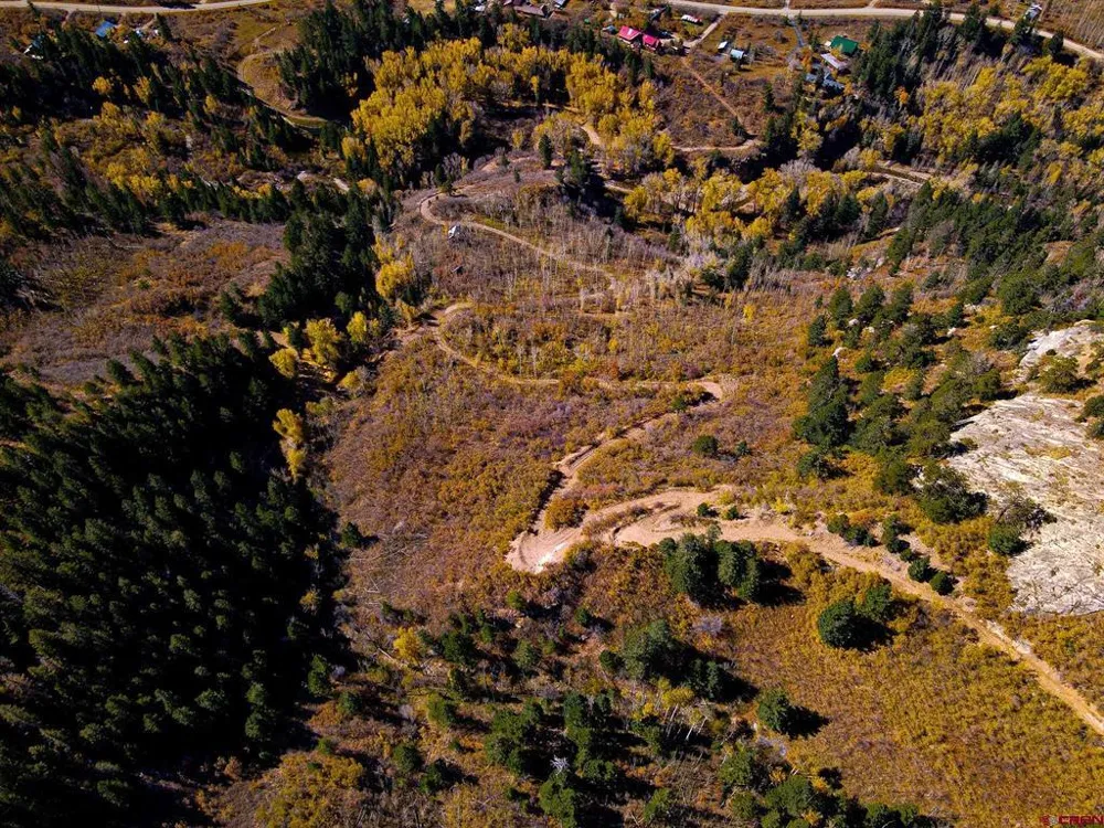 County Road 124 Hesperus, CO 81326