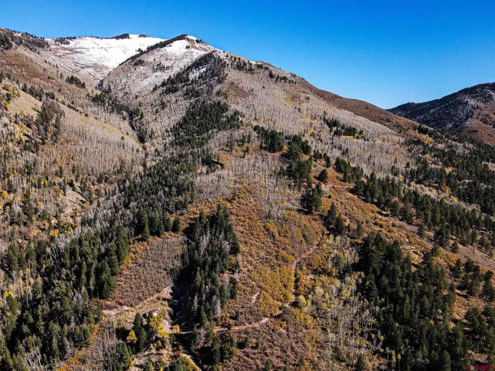 County Road 124 Hesperus, CO 81326