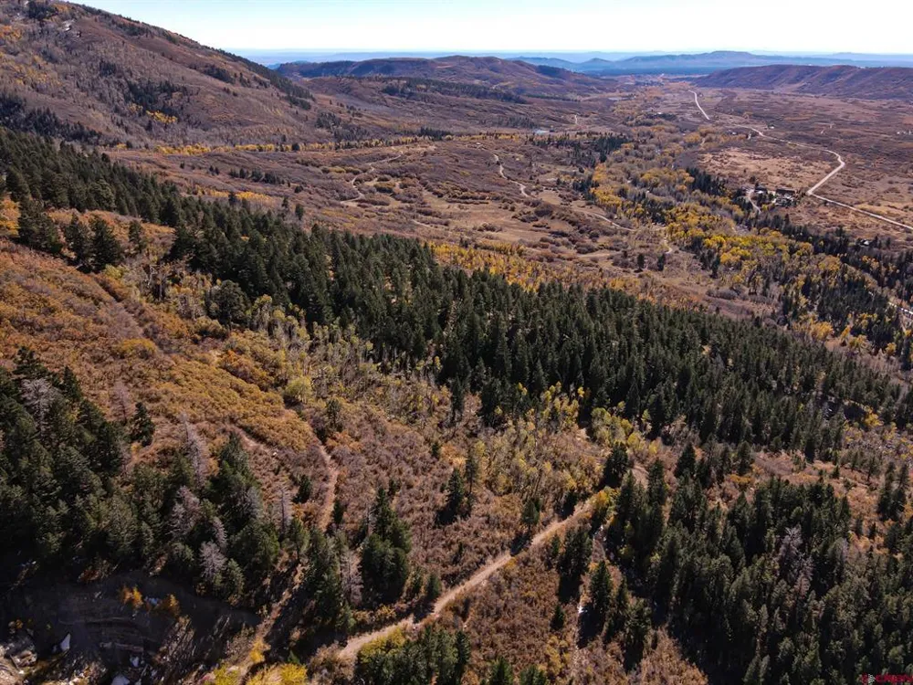 County Road 124 Hesperus, CO 81326