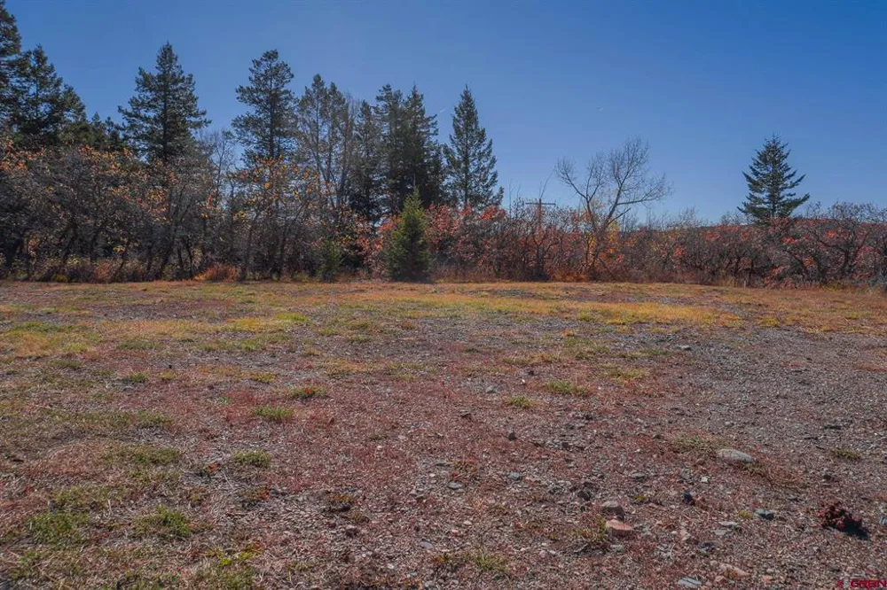 County Road 124 Hesperus, CO 81326