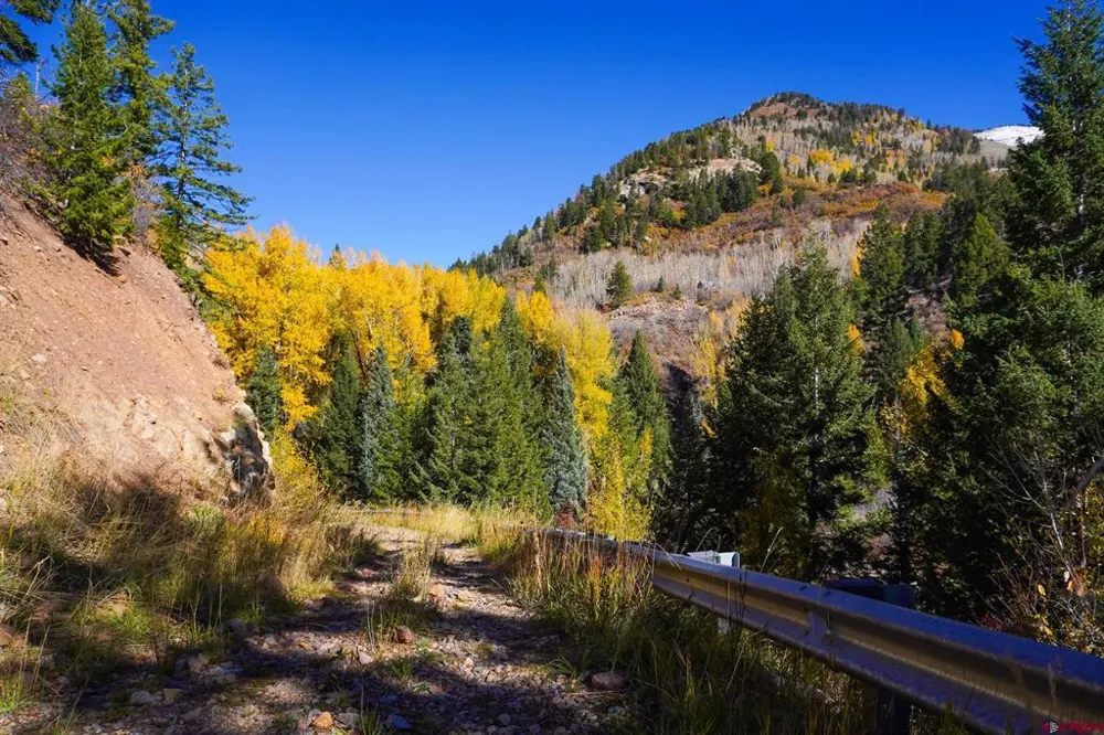 County Road 124 Hesperus, CO 81326
