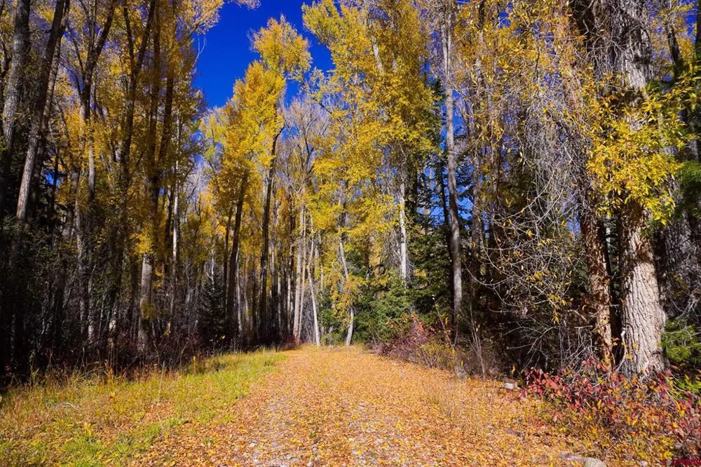 County Road 124 Hesperus, CO 81326