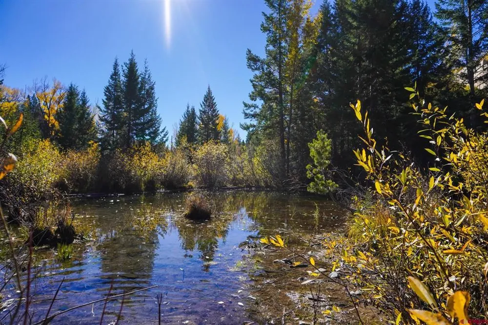 County Road 124 Hesperus, CO 81326