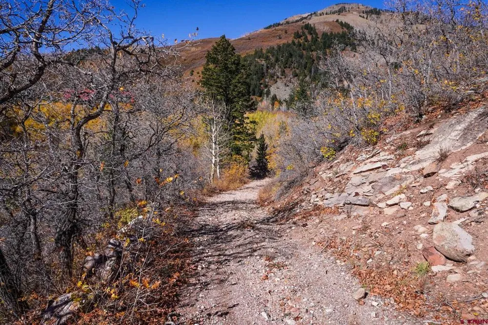 County Road 124 Hesperus, CO 81326