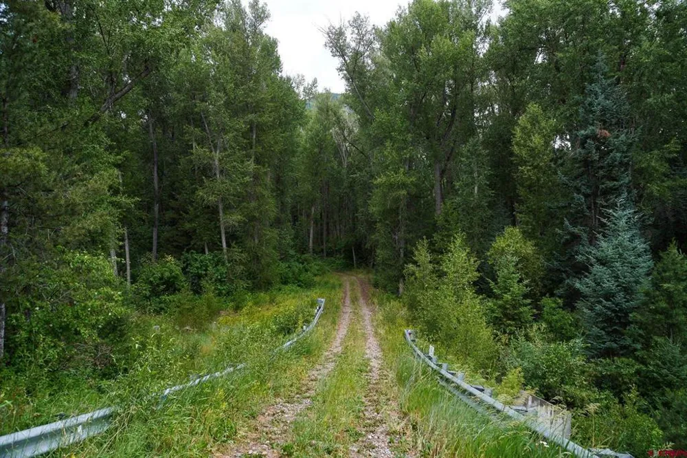 County Road 124 Hesperus, CO 81326