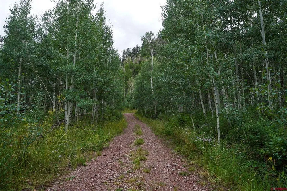 County Road 124 Hesperus, CO 81326