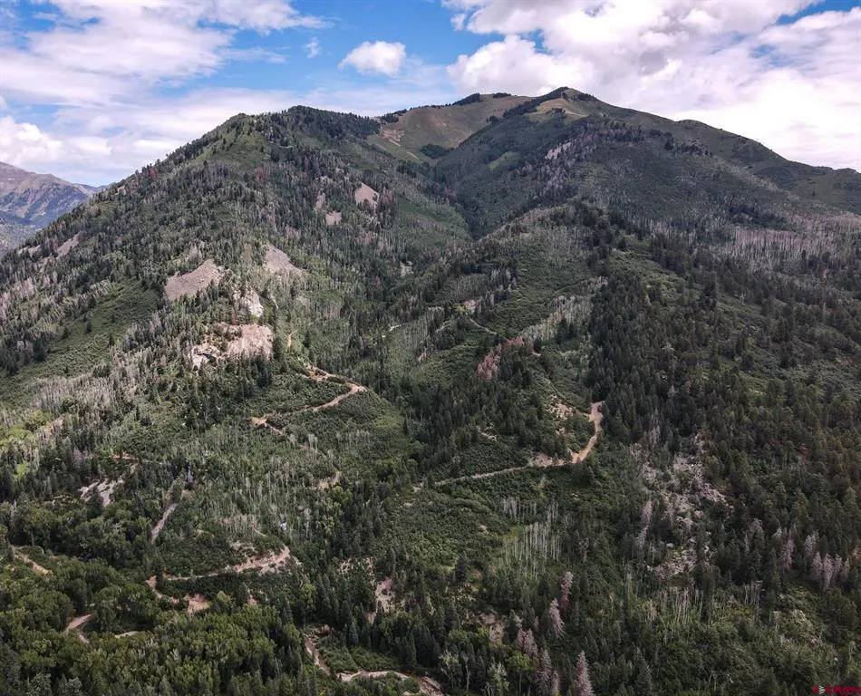County Road 124 Hesperus, CO 81326