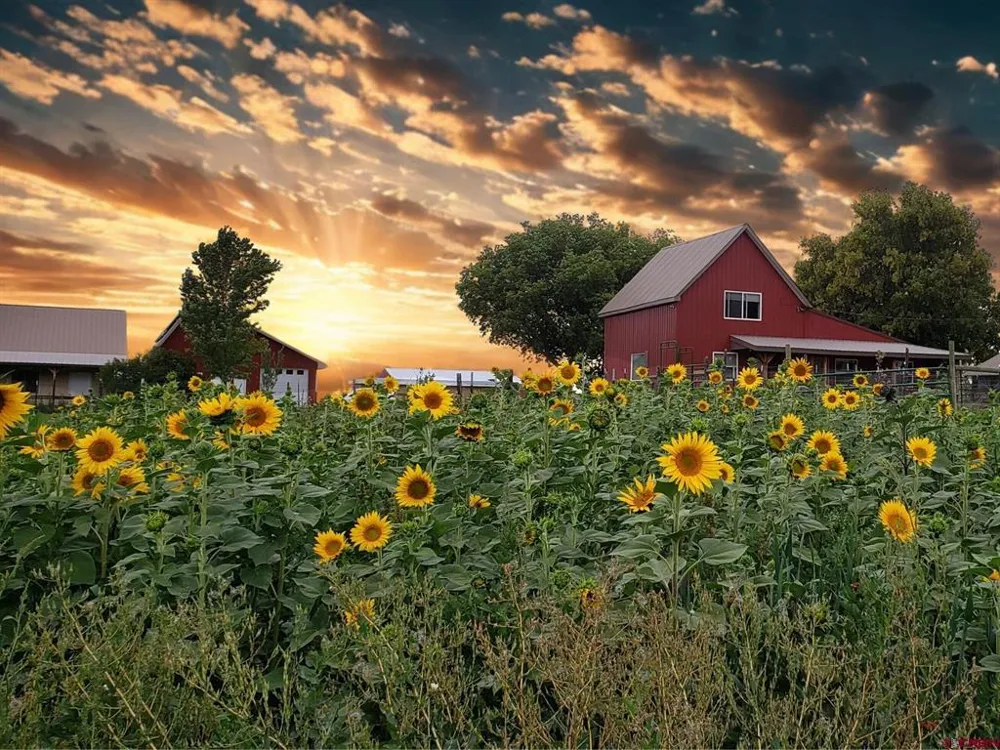 41990 Cottonwood Creek Road Crawford, CO 81415