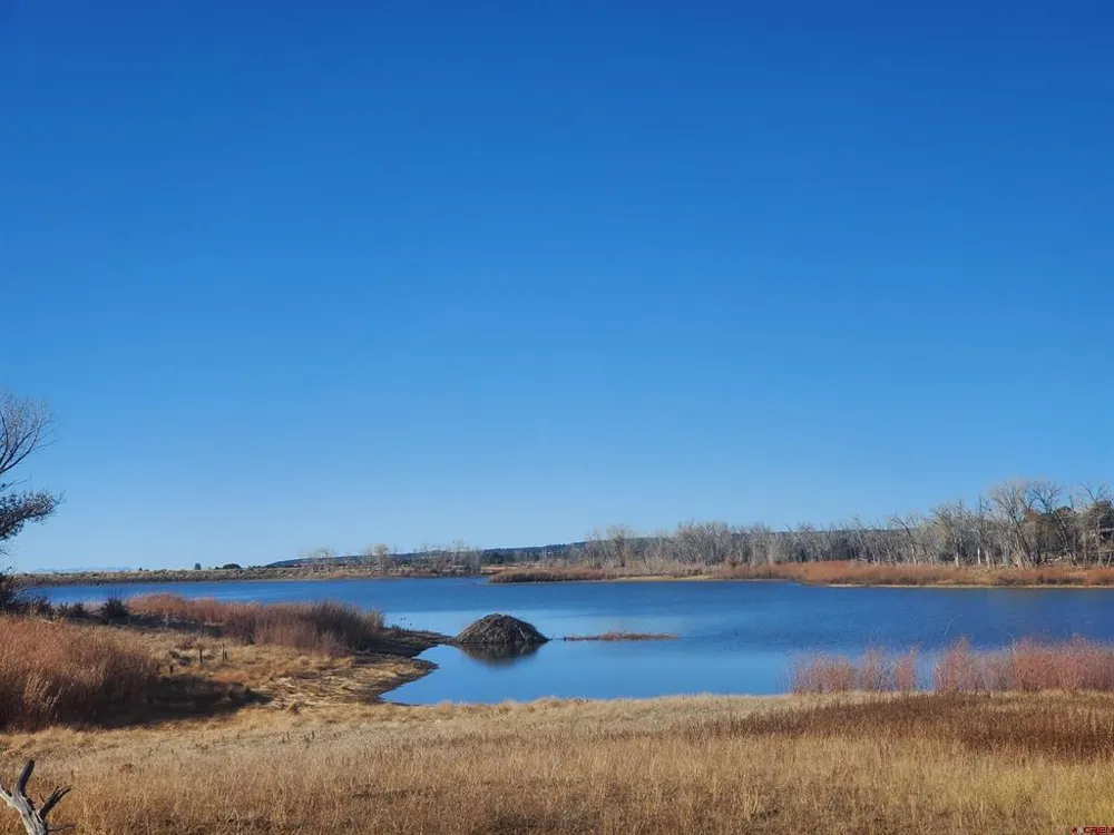 13989 Road 35.6 Mancos, CO 81328