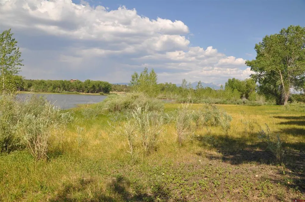 13989 Road 35.6 Mancos, CO 81328