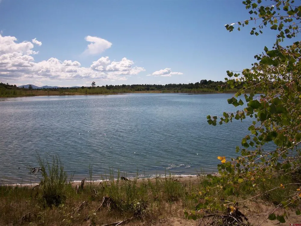 13989 Road 35.6 Mancos, CO 81328