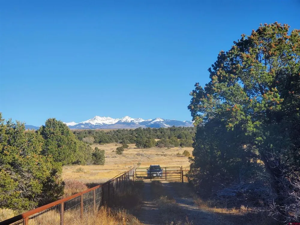 13989 Road 35.6 Mancos, CO 81328