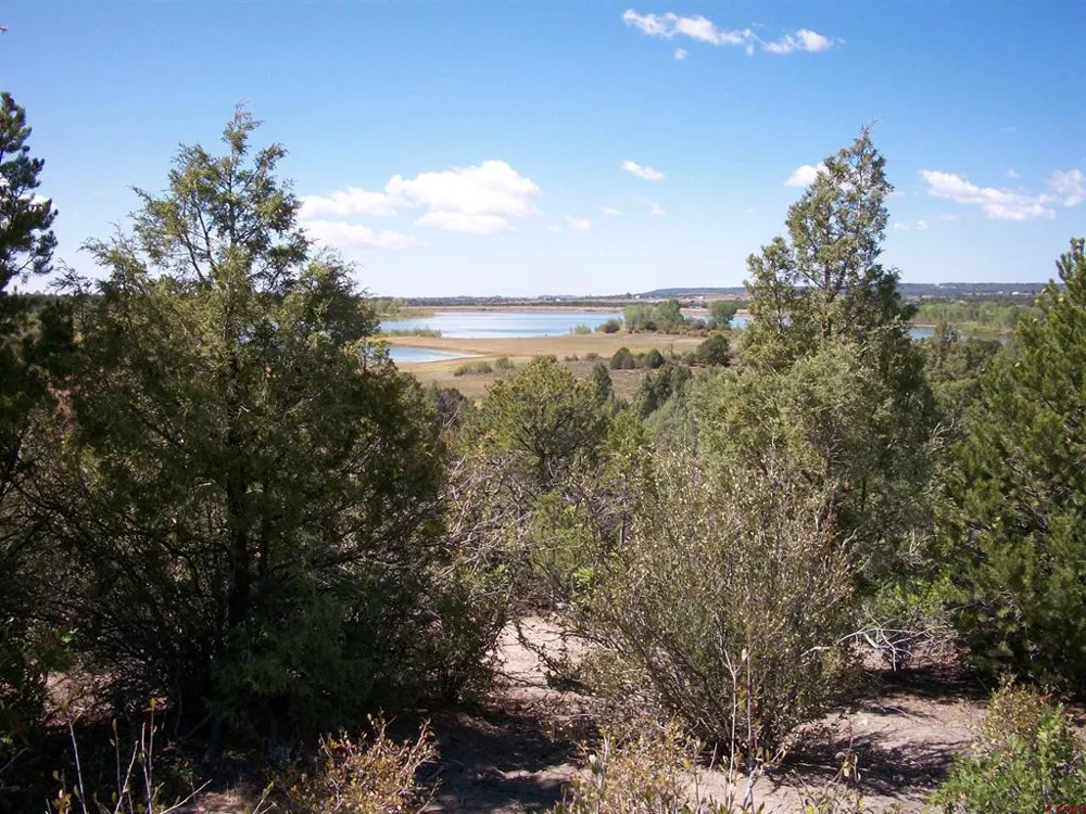 13989 Road 35.6 Mancos, CO 81328