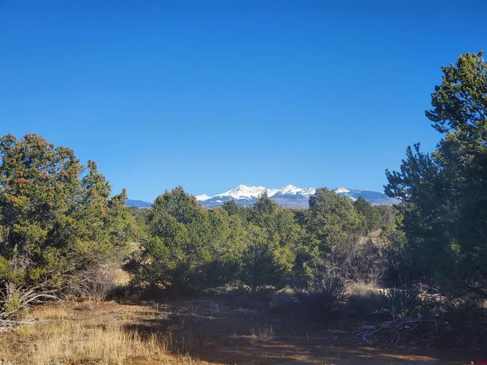 13989 Road 35.6 Mancos, CO 81328