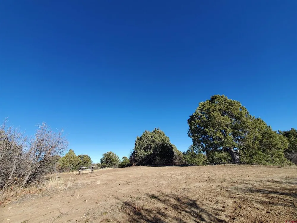 13989 Road 35.6 Mancos, CO 81328