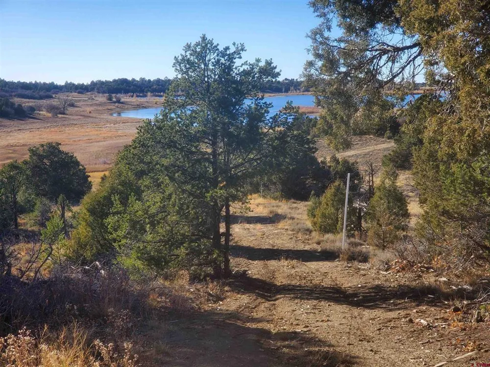 13989 Road 35.6 Mancos, CO 81328