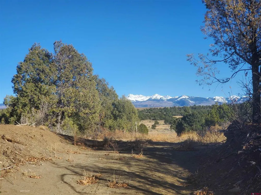 13989 Road 35.6 Mancos, CO 81328