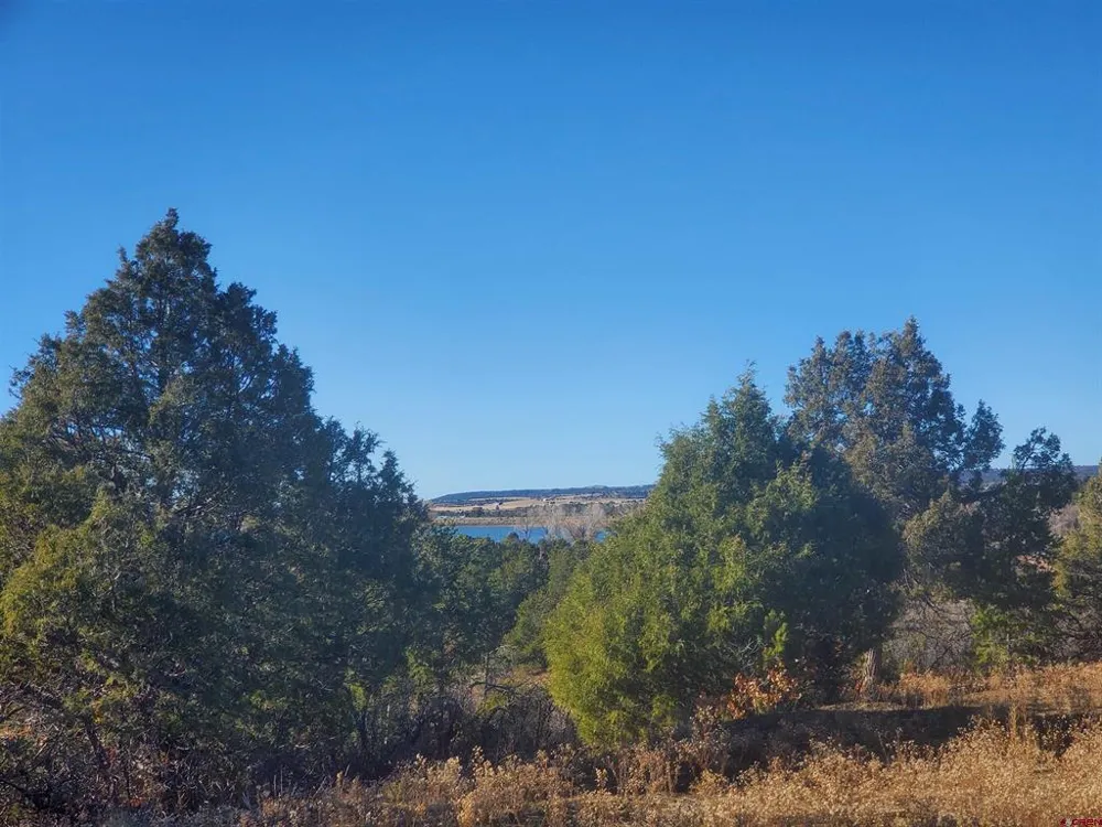 13989 Road 35.6 Mancos, CO 81328