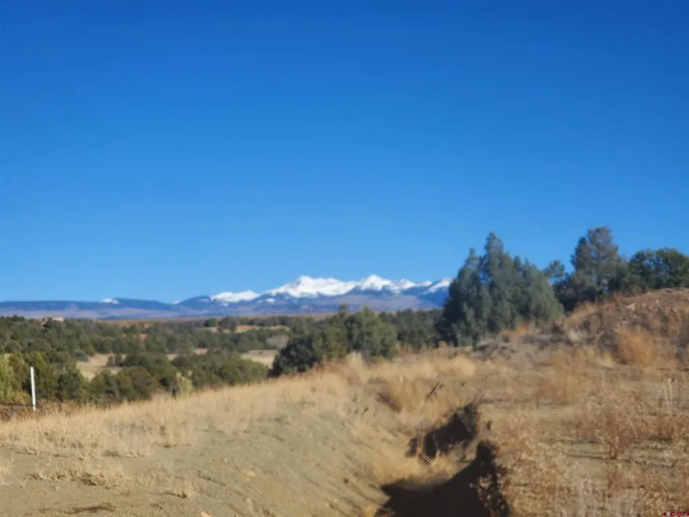 13989 Road 35.6 Mancos, CO 81328
