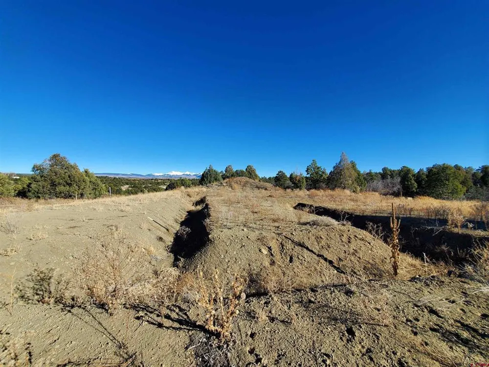 13989 Road 35.6 Mancos, CO 81328
