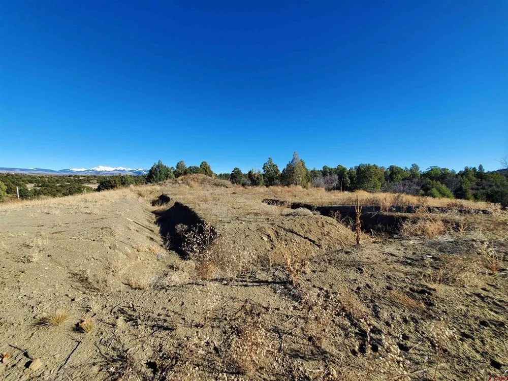 13989 Road 35.6 Mancos, CO 81328