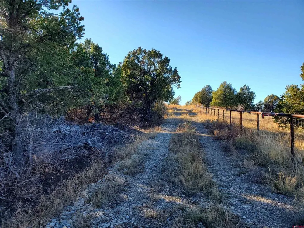13989 Road 35.6 Mancos, CO 81328