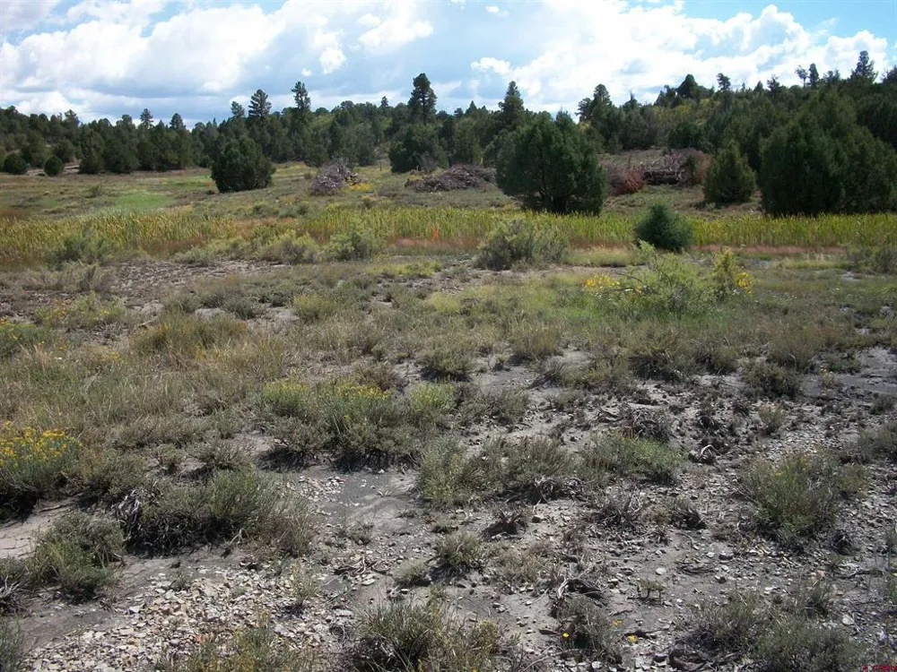 13989 Road 35.6 Mancos, CO 81328