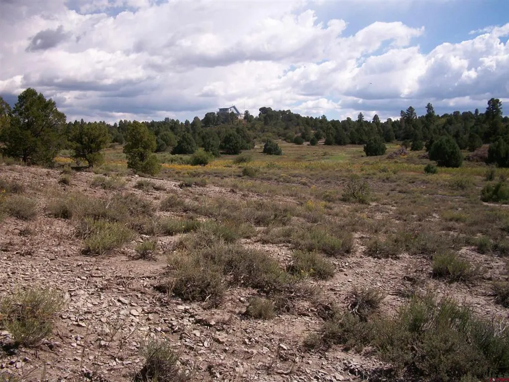 13989 Road 35.6 Mancos, CO 81328