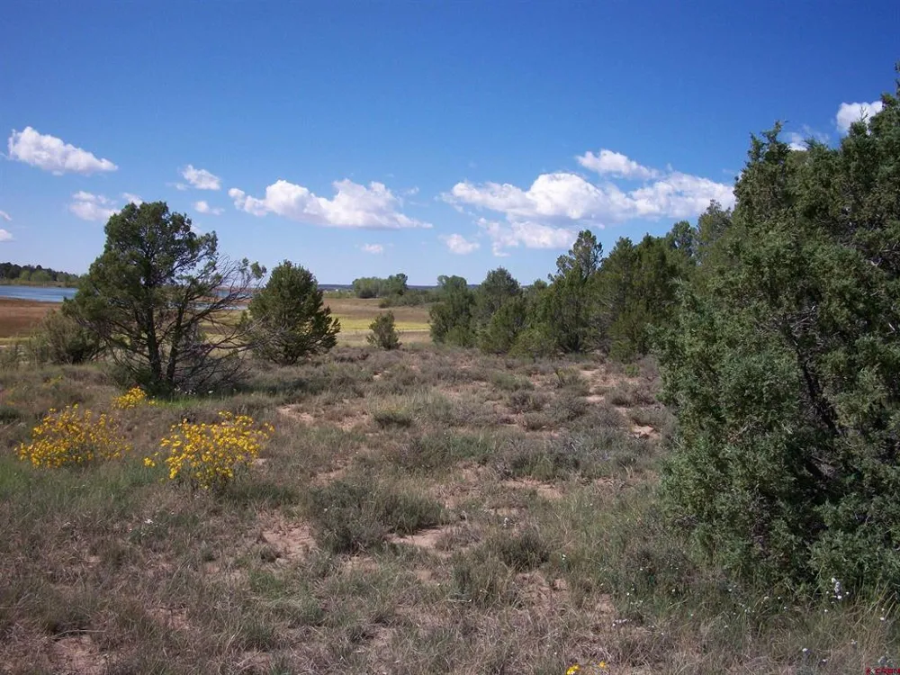 13989 Road 35.6 Mancos, CO 81328