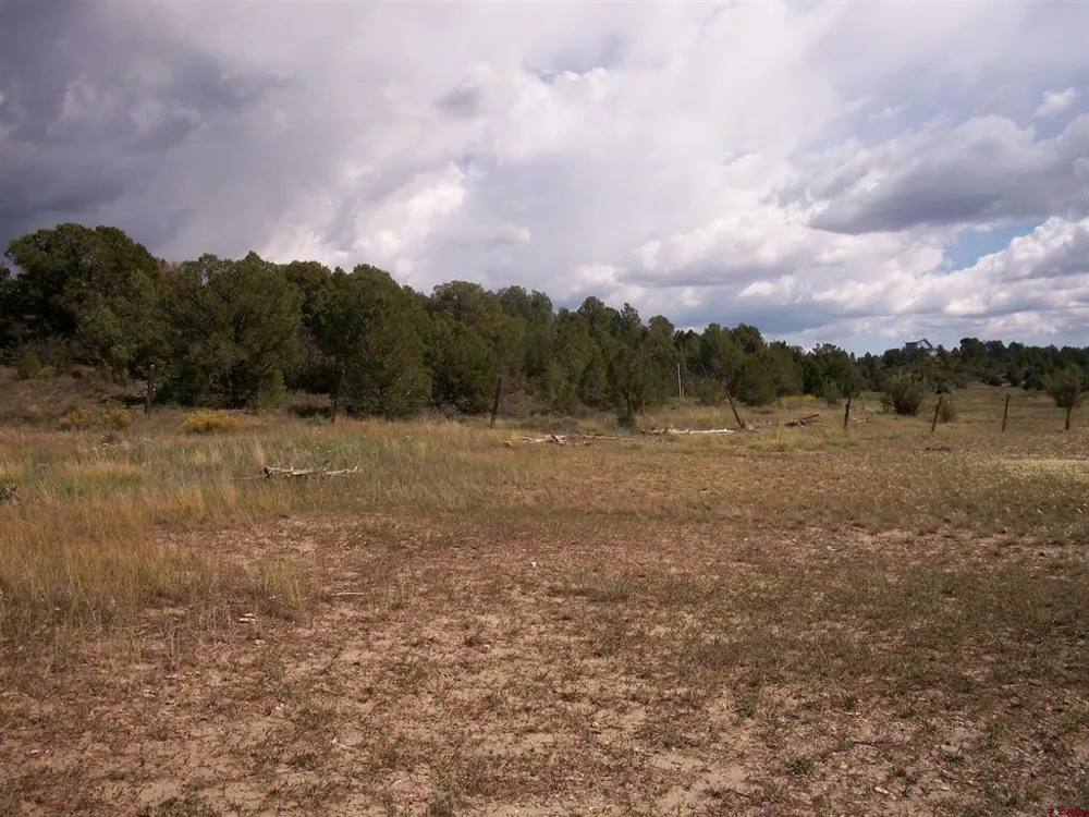 13989 Road 35.6 Mancos, CO 81328