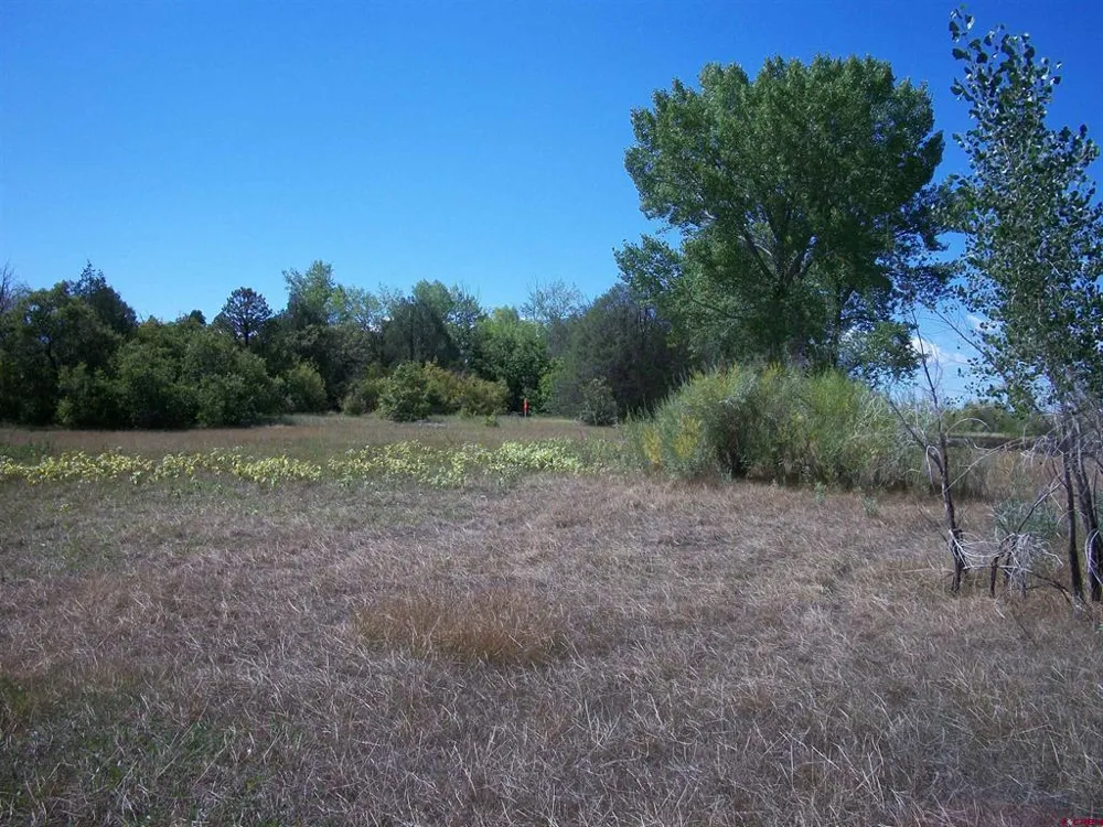 13989 Road 35.6 Mancos, CO 81328