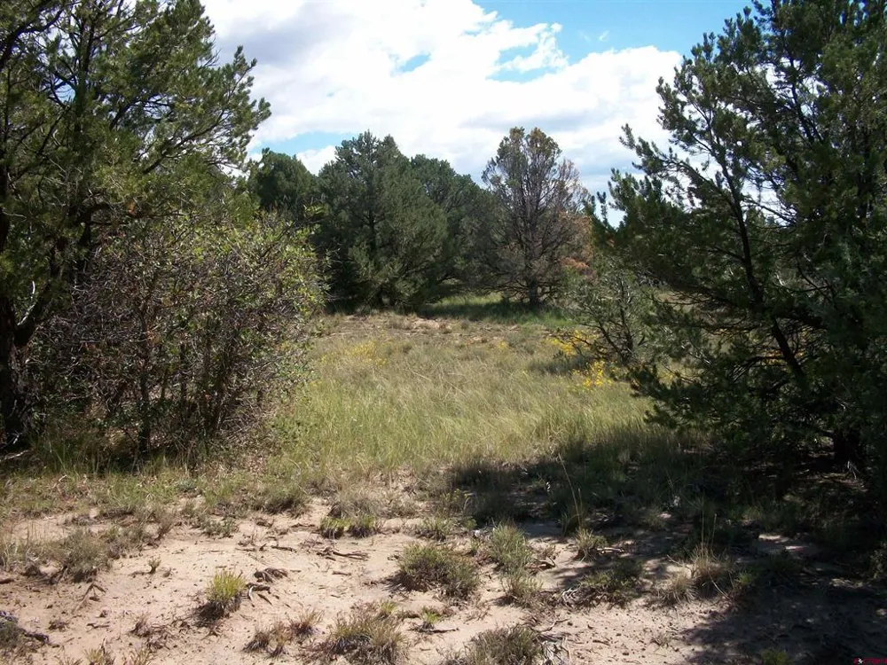 13989 Road 35.6 Mancos, CO 81328